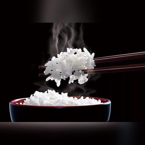 全球美食新潮涌动，最新饮食趋势解析