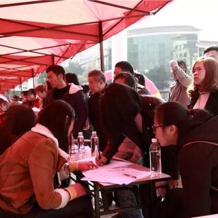 最新将乐招聘行情，行业分析、职位需求与求职指南一网打尽
