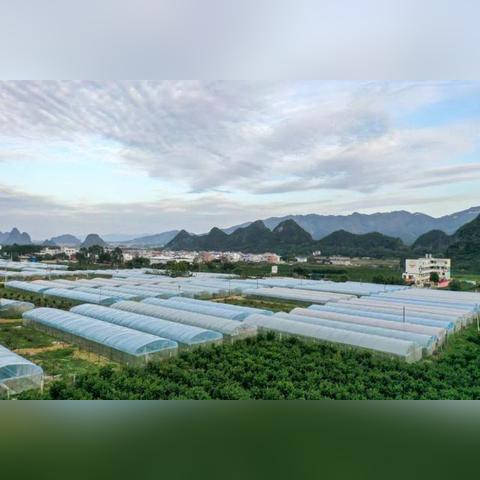 官方阐述：2025精准资料免费提供最新——垂直农业 vs 成本质疑