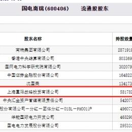 重阳投资持股明细深度解读