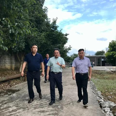 ＂新奥精准资料免费大全＂的：实地验证策略具体_49-05-41-18-25-15 T：206.34