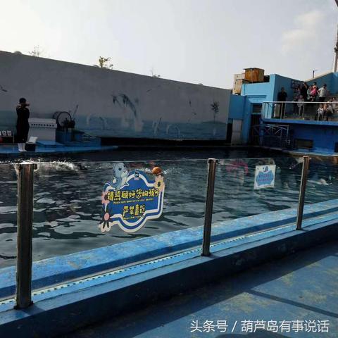 ＂2025新澳天天彩免费资料大全查询＂的：设计规划引导方式_31-25-48-32-30-06 T：266.4