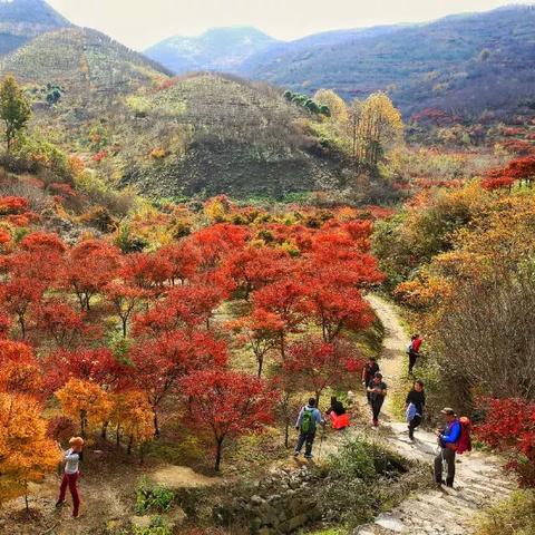 宁波最新地图详解