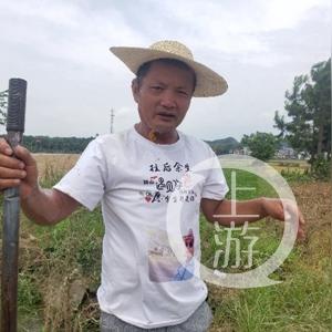 技术服务 第127页
