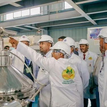 埃塞芝麻价格最新走势分析