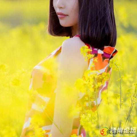 随州女士最新征婚启事信息