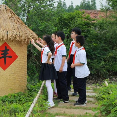 江海不渡最新连载，神秘遗迹探秘之旅