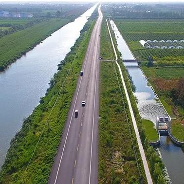 大丰区最新道路布局规划详解图