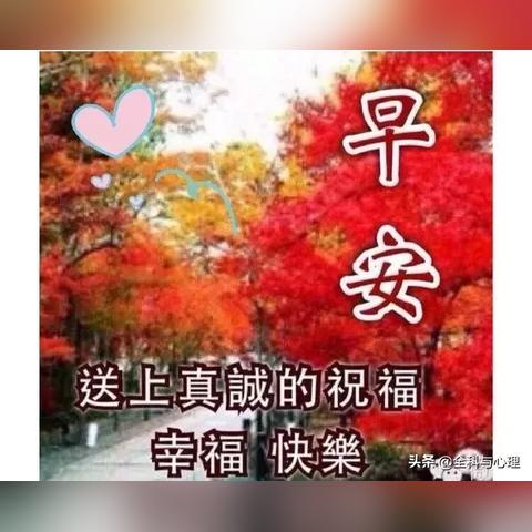 微信苹果版最新功能详解