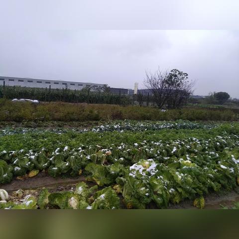 技术服务 第4页