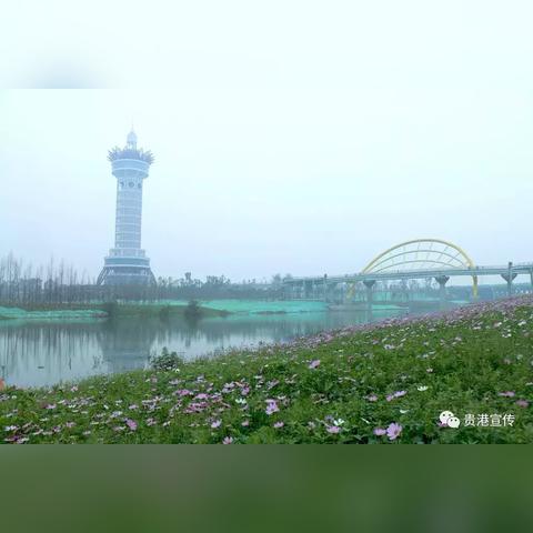 贵港市园博园动态更新，最新消息汇总